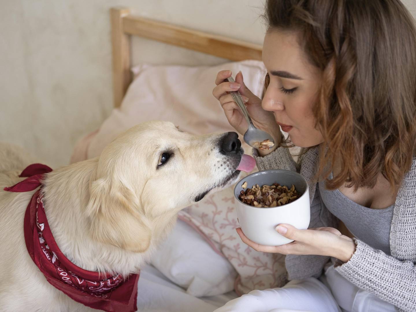 8 Lebensmittel, die Sie Ihrem Hund auf keinen Fall geben sollten!