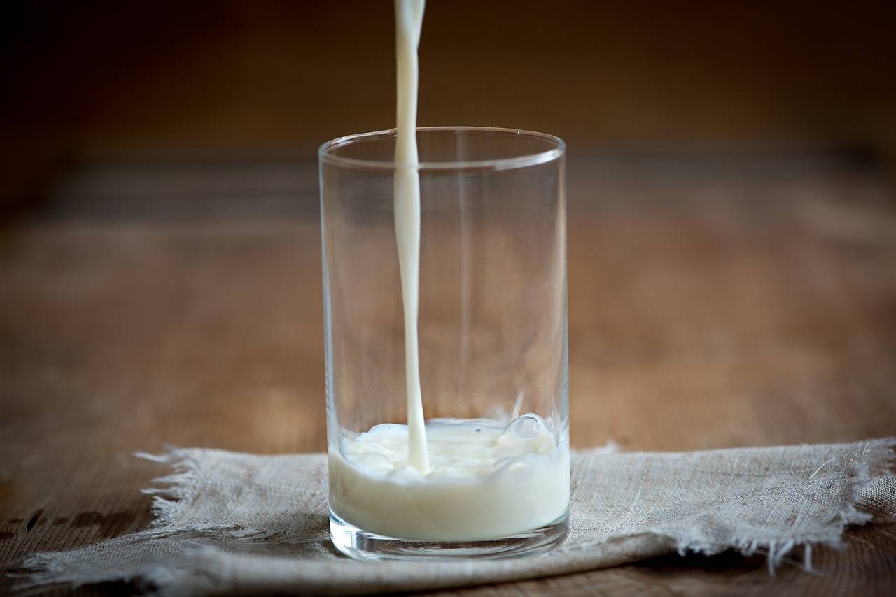 Sollte man aufhören, Kuhmilch zu trinken?