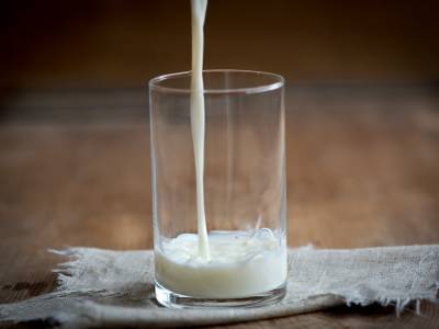 Sollte man aufhören, Kuhmilch zu trinken?