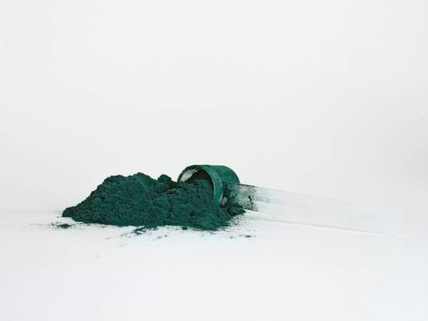 Spirulina: die Wunderalge zur natürlichen Senkung von Cholesterin und Triglyceriden!