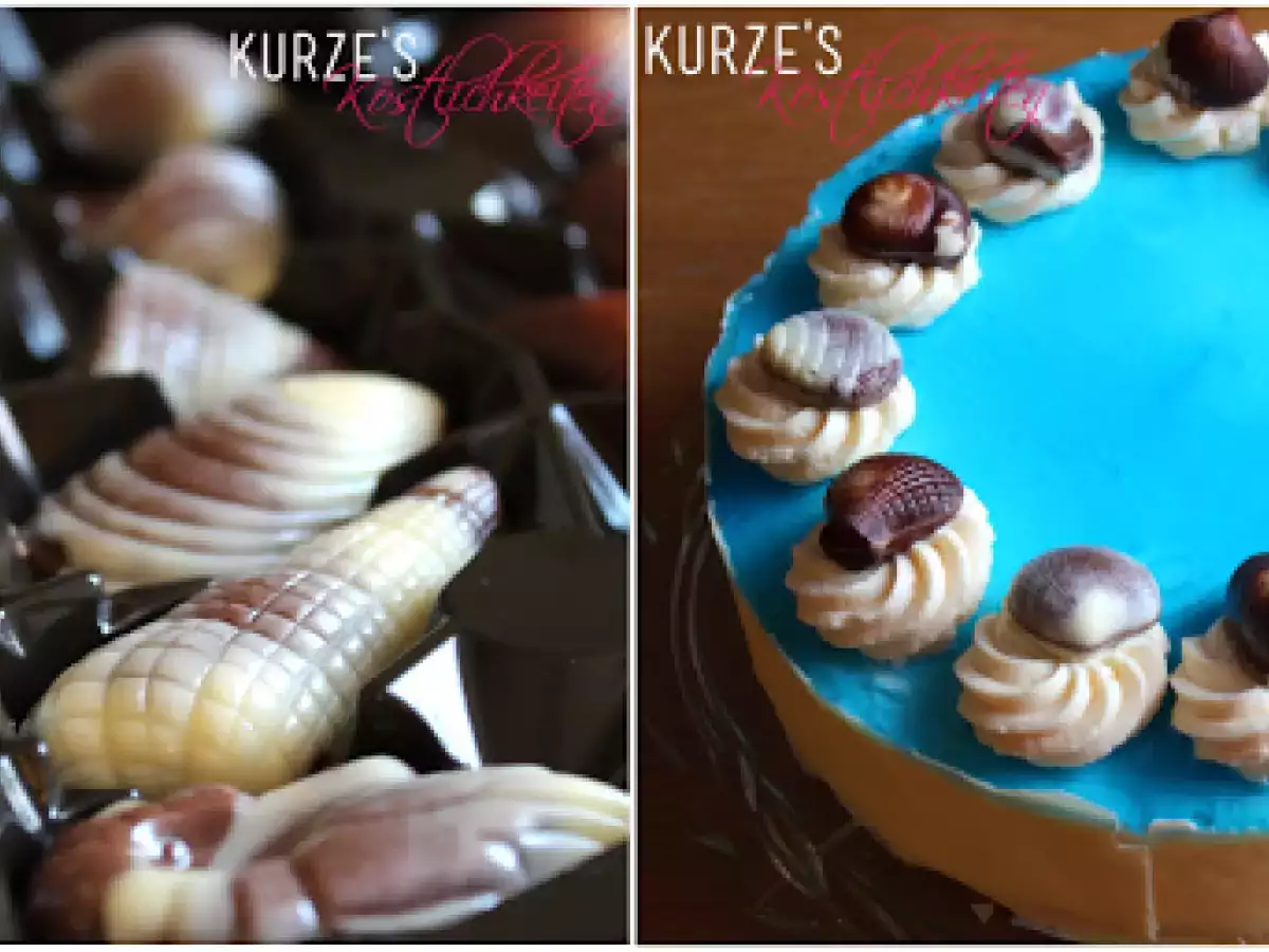 Aprikosen-Schoko-Pool-Torte