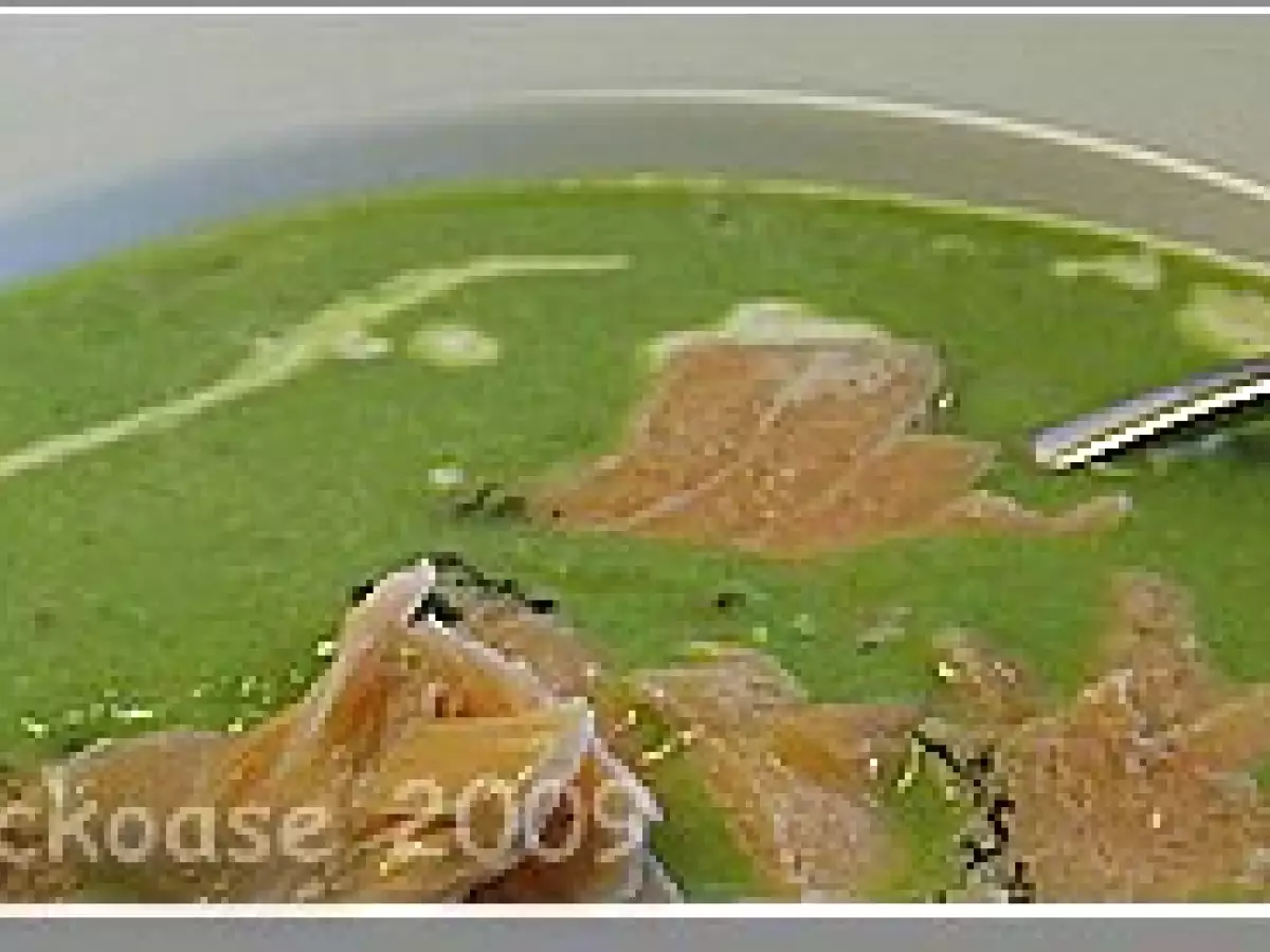 Feines Erbsensüppchen