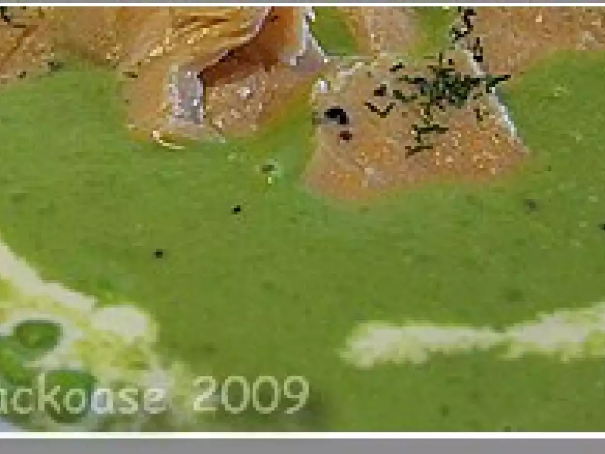 Feines Erbsensüppchen - foto 2