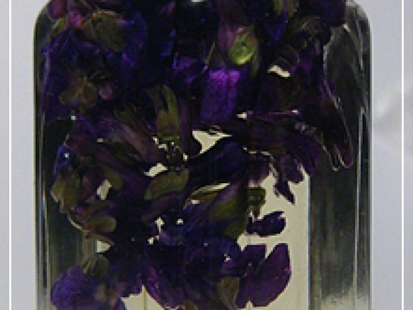 Kräuterkram: Viola odorata